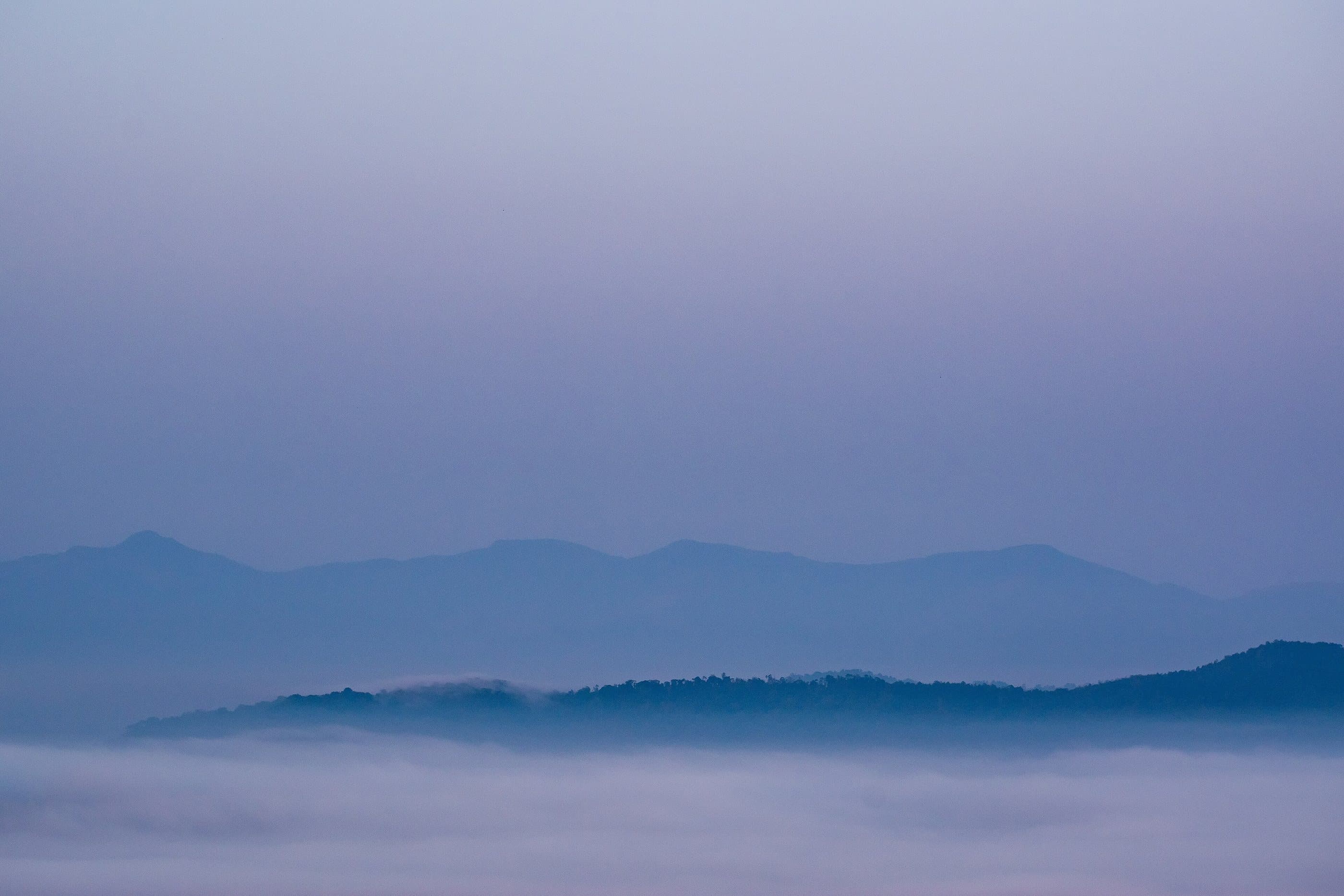 Ridges of the Western Ghats above a sea of mist at golden hour, seen from Raja's Seat